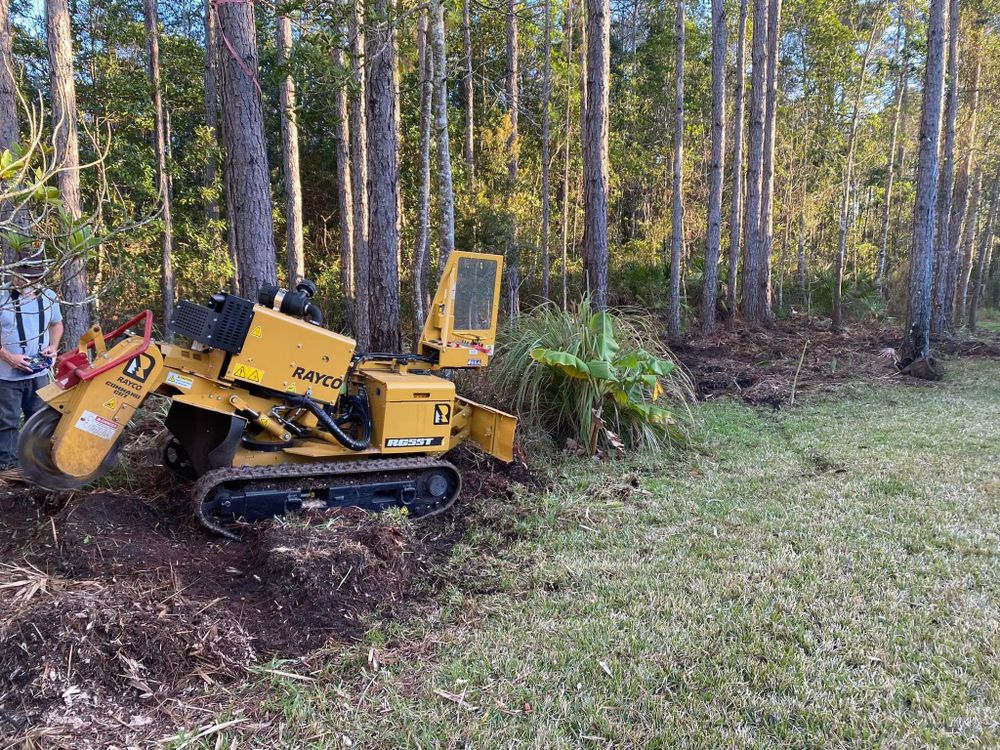 Our professional stump removal service efficiently clears your landscape of unwanted stumps, promoting a healthier lawn and enhancing curb appeal, while ensuring safety and preventing pest infestations. for Fast Cut Tree Service in Jacksonville Heights, FL