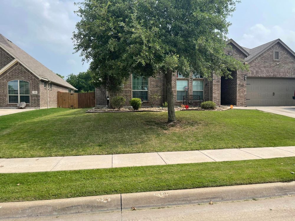 All Photos for Mora’s Lawn Services in Crowley,  TX