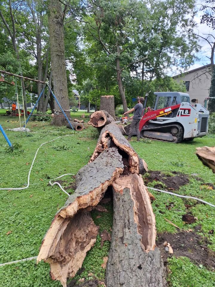 All Photos for Highborn Tree Service in Wheatfield, IN