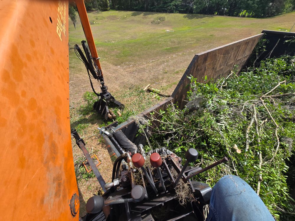 All Photos for Near Me Tree Service, Inc. in DeLand, FL