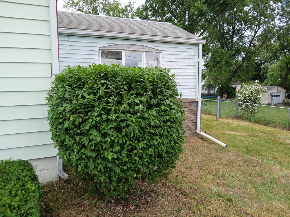 All Photos for On The Spot Lawn Maintenance & Pressure Washing in Jackson, MI