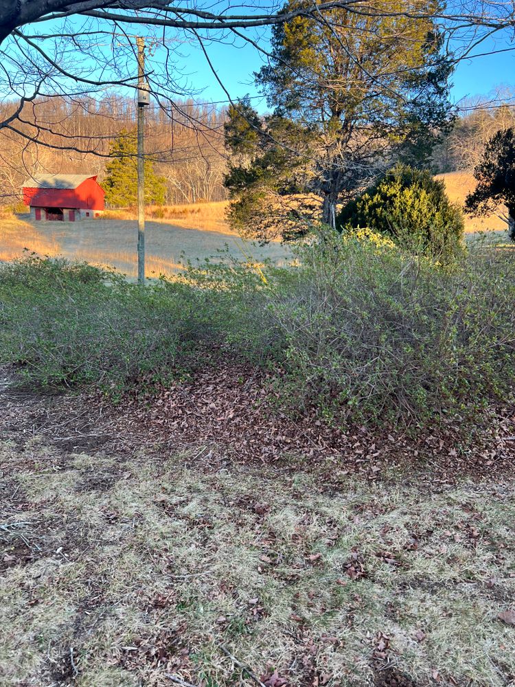 All Photos for Valencia’s Lawncare in Charlottesville, VA