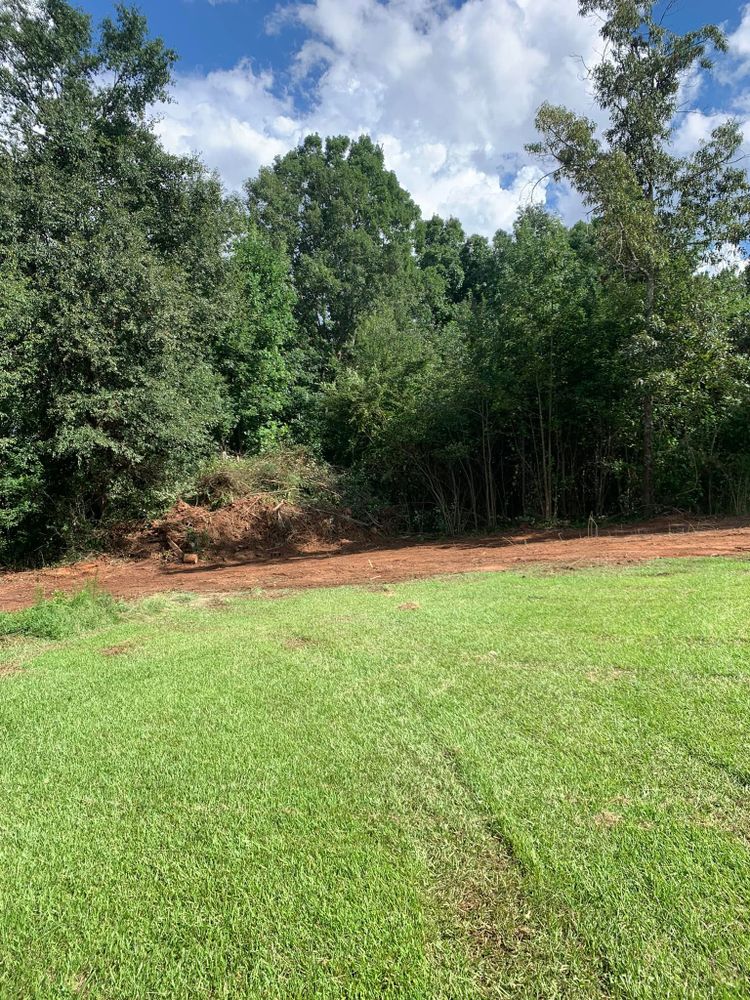 Land Clearing for A.P Land Management in Atlanta, Ga