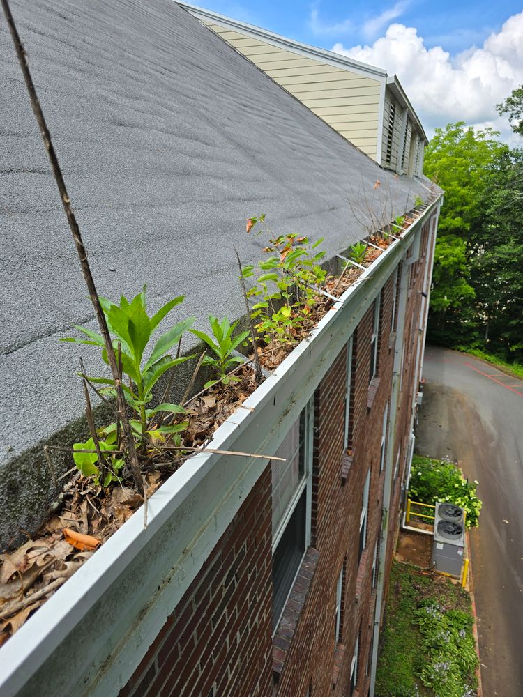 Our Gutter Cleanouts service ensures your gutters are working properly, preventing water damage and maintaining optimal drainage efficiency, ultimately protecting your home's foundation and landscape from potential issues. for Dotson Seamless Guttering in Mars Hill, NC