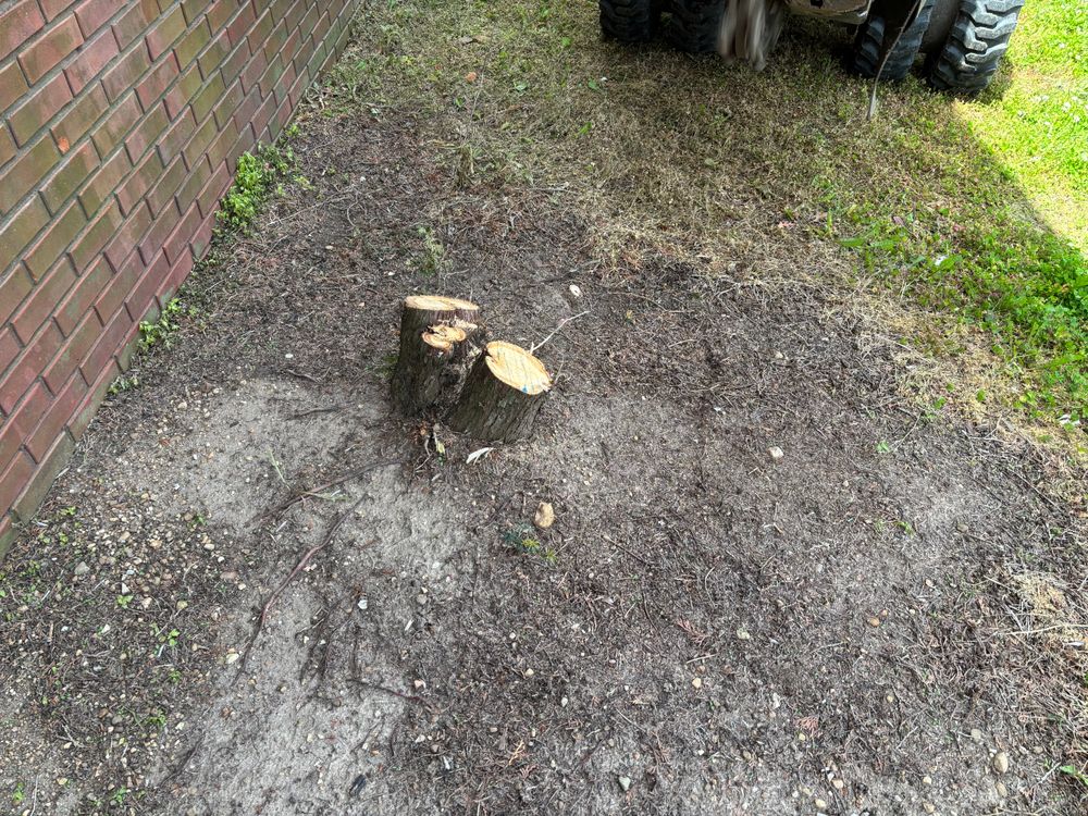 All Photos for Conrad's Stump Removal in Columbus, IN