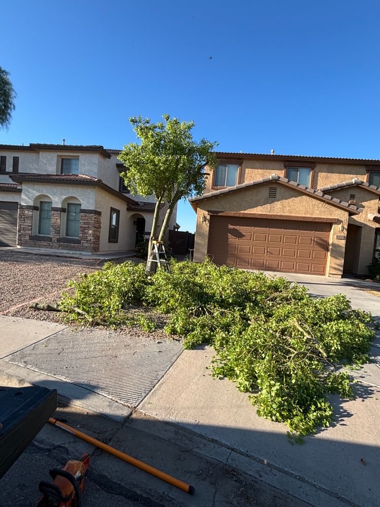 All Photos for Good Hands Landscape in Maricopa, AZ