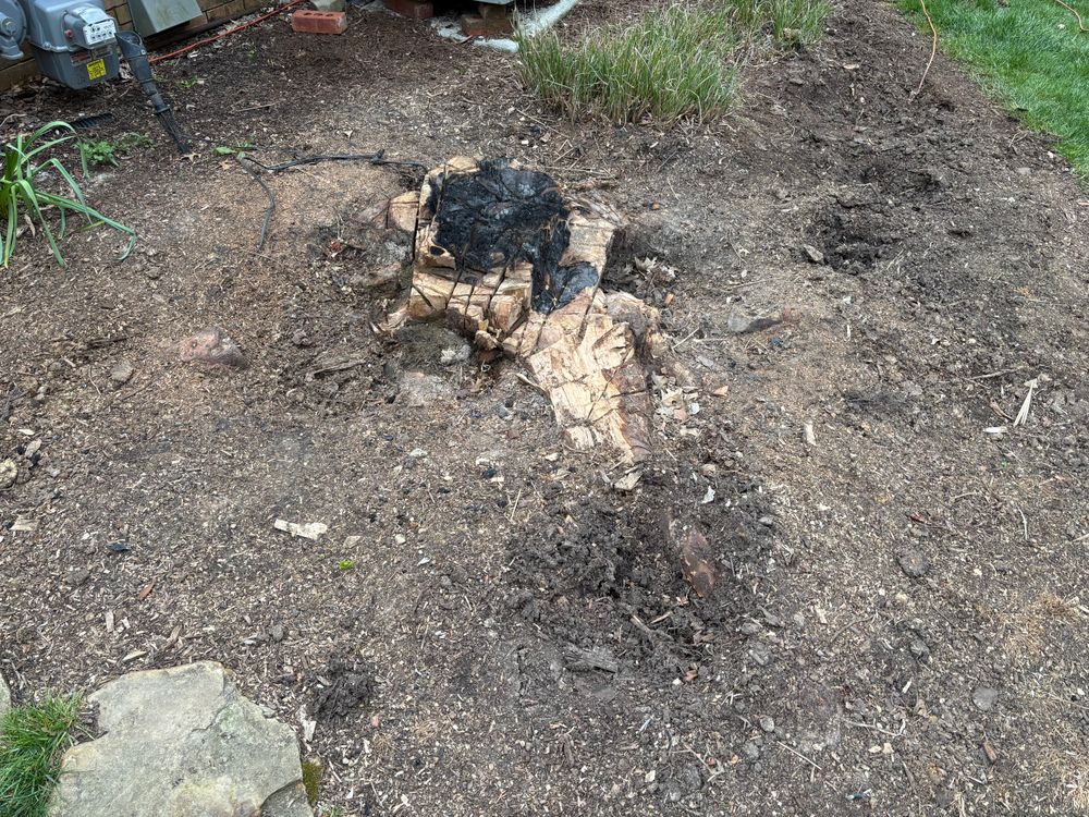 All Photos for Conrad's Stump Removal in Columbus, IN