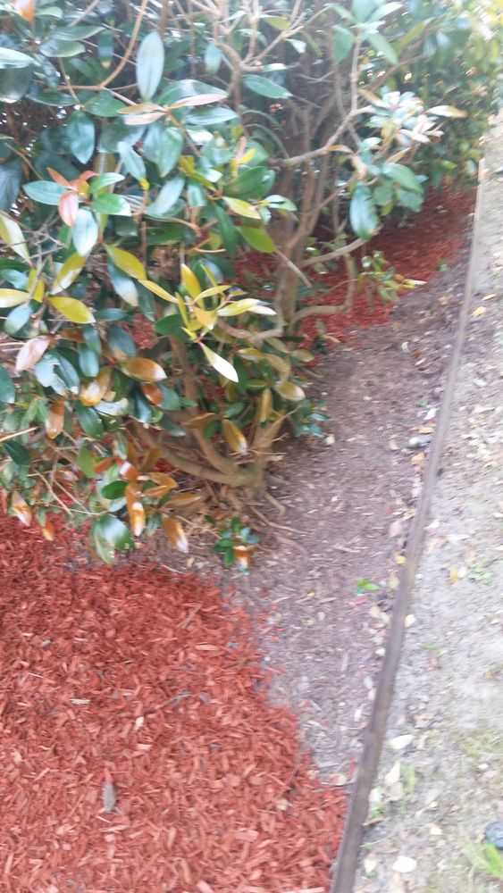 All Photos for Mancinas Home Improvement, Landscaping, & Lawn Care in Fayetteville, NC