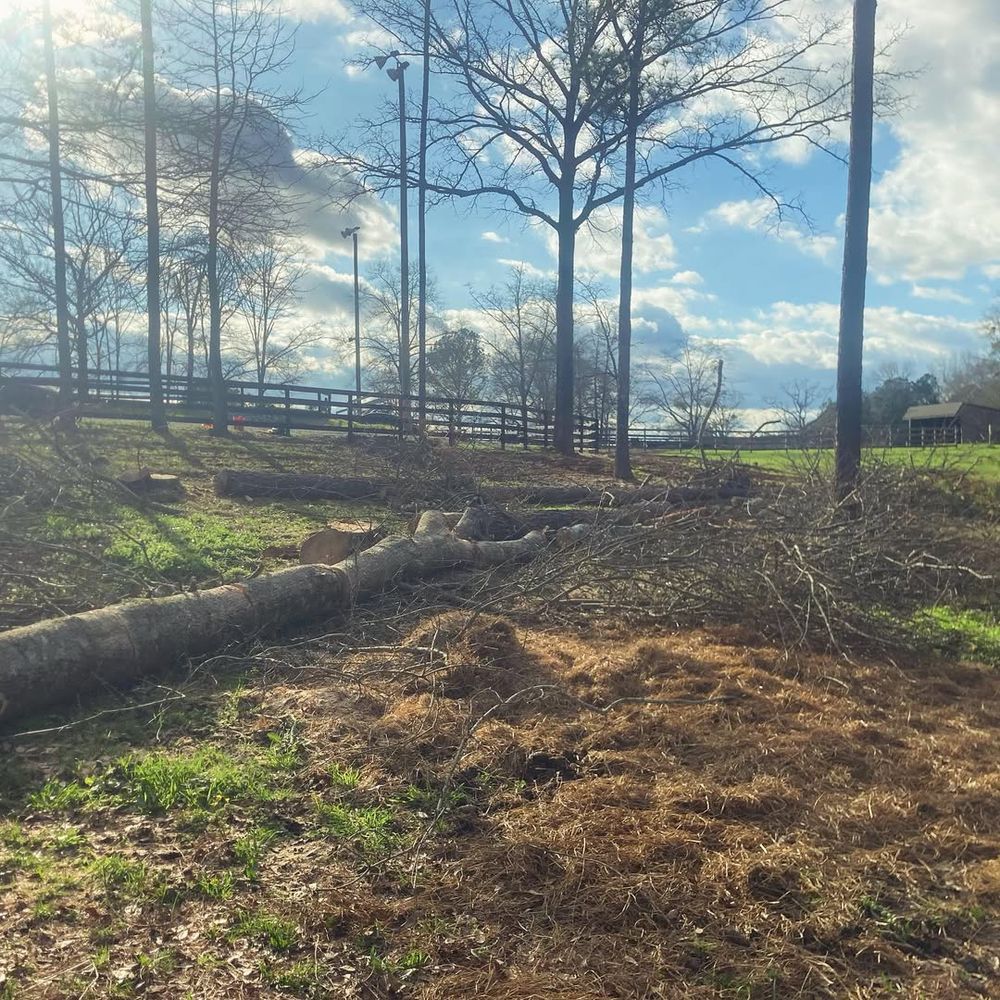 Tree Removal for Kingdom Tree Cuts in Birmingham, AL