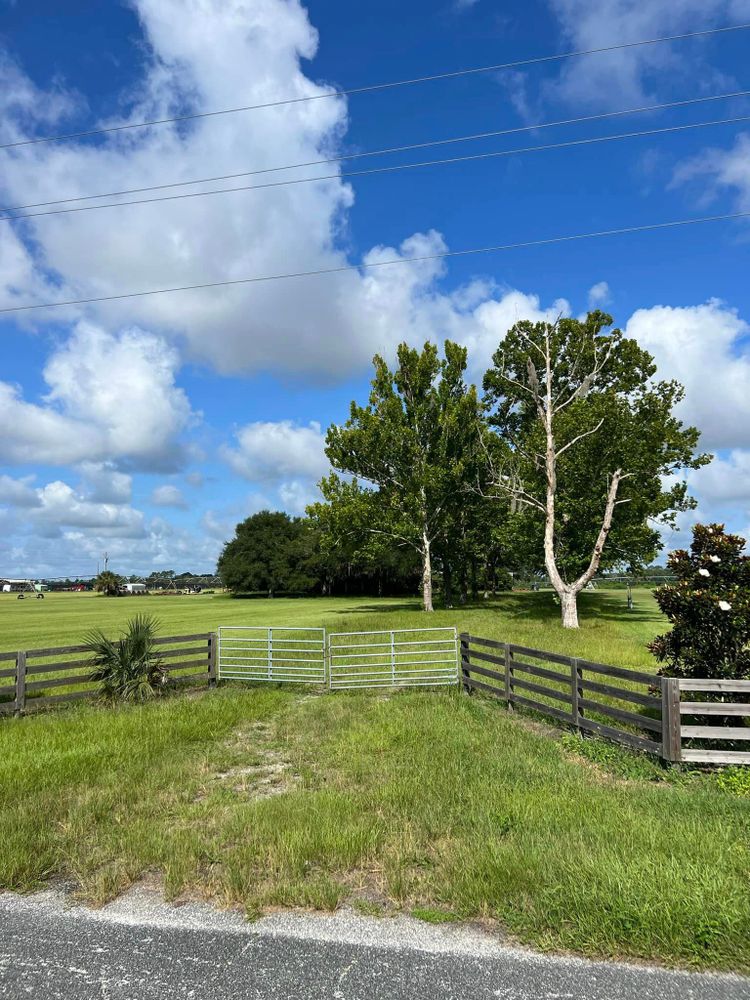 Land Clearing for Vaughn’s Outdoor Services  in Orlando, FL