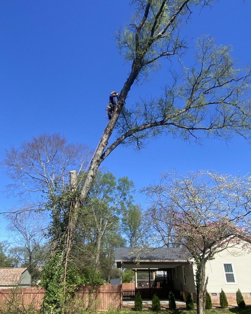 instagram for JayBird Tree Service  in Goodlettsville, TN