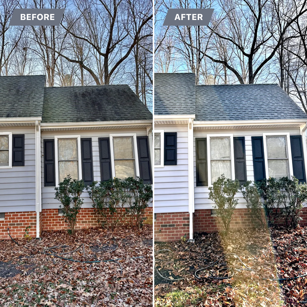 All Photos for LeafTide Solutions in Richmond, VA