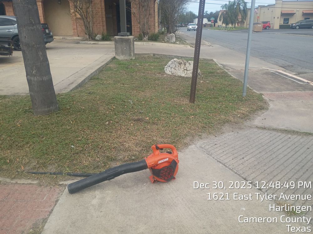 All Photos for Pro Lawn Care RGV in McAllen, TX