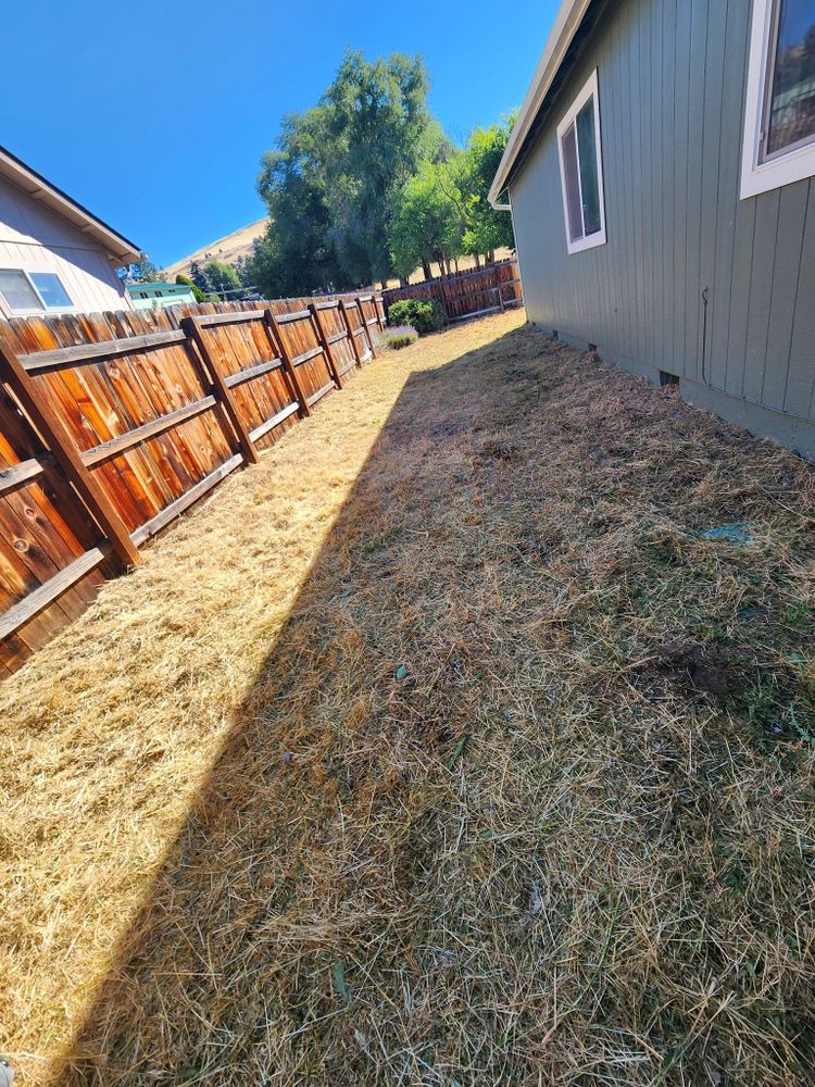 All Photos for Bernal's Lawn Care/Tree Service in Klamath Falls,  OR