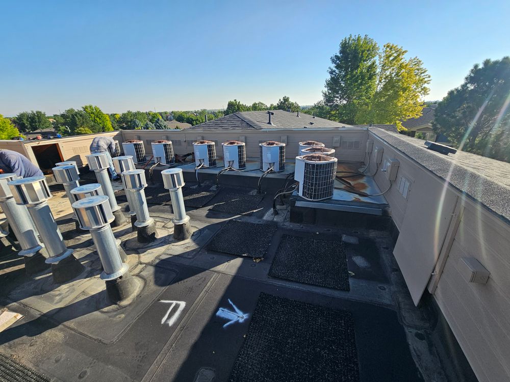 All Photos for Distinctive Home Renovations in Longmont, CO