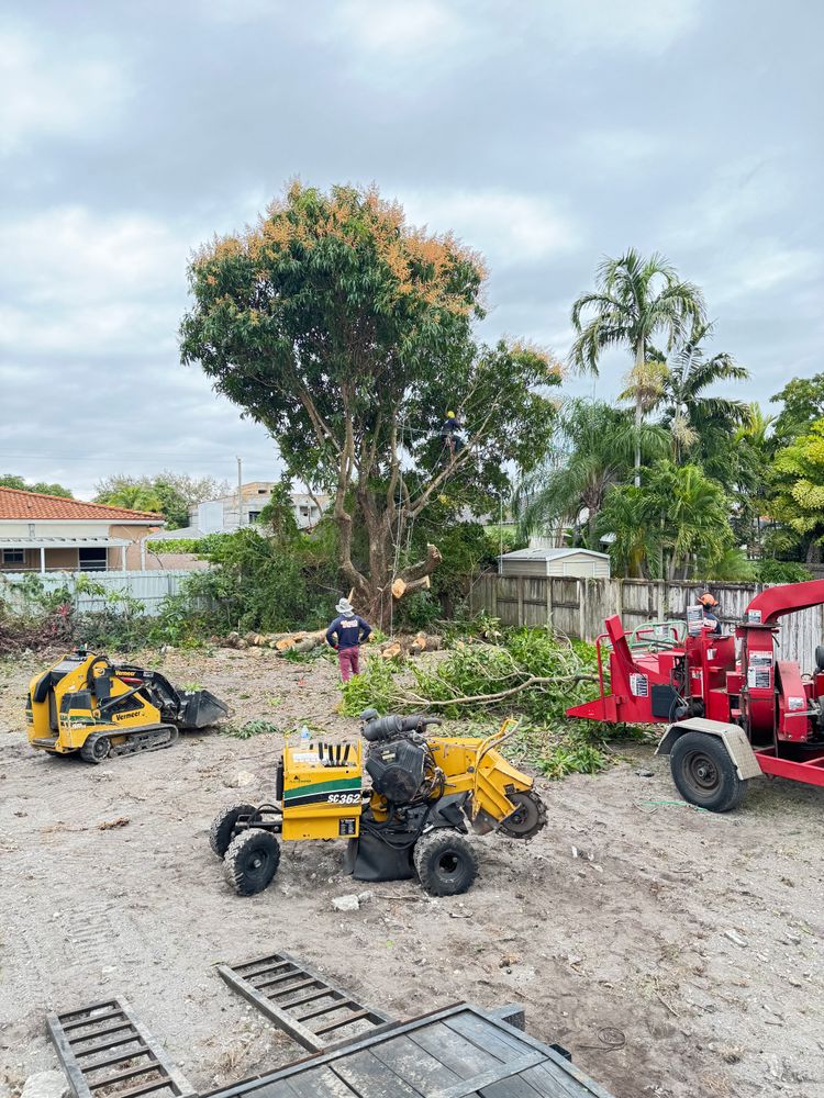 All Photos for Sam's Tree Service in Miami Beach,  FL