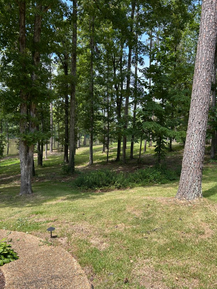 All Photos for Broadway & McMullen Construction in Hattiesburg, MS
