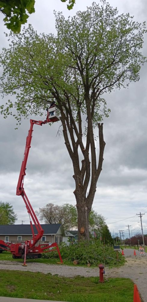 All Photos for Lawn Ranger Yard And Tree Service LLC in Ottumwa, IA