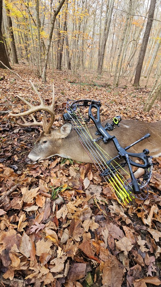 All Photos for Bluff Country Whitetails in Southern Indiana, IN