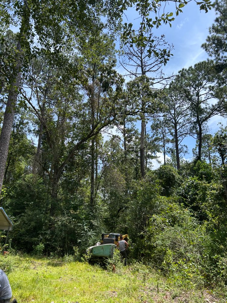 Tree Removal for Broadway & McMullen Construction in Hattiesburg, MS
