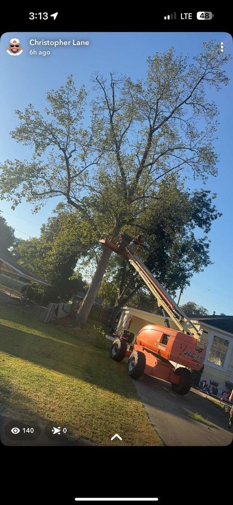 All Photos for Morace Tree Service in Natchez,,  MS