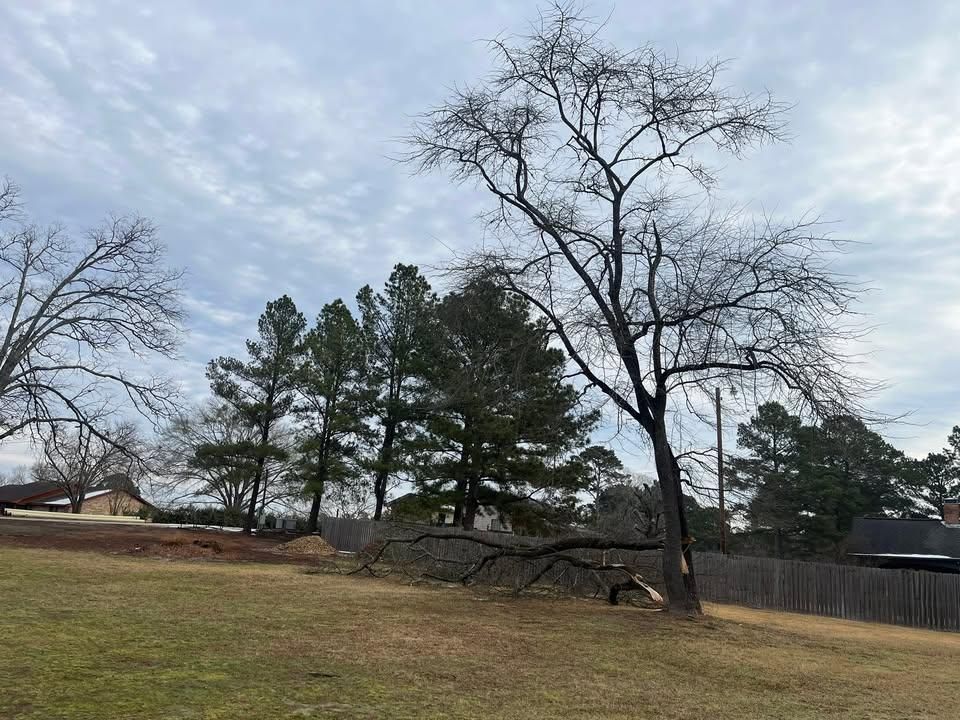 All Photos for JC Land and Tree Service in Kilgore, TX