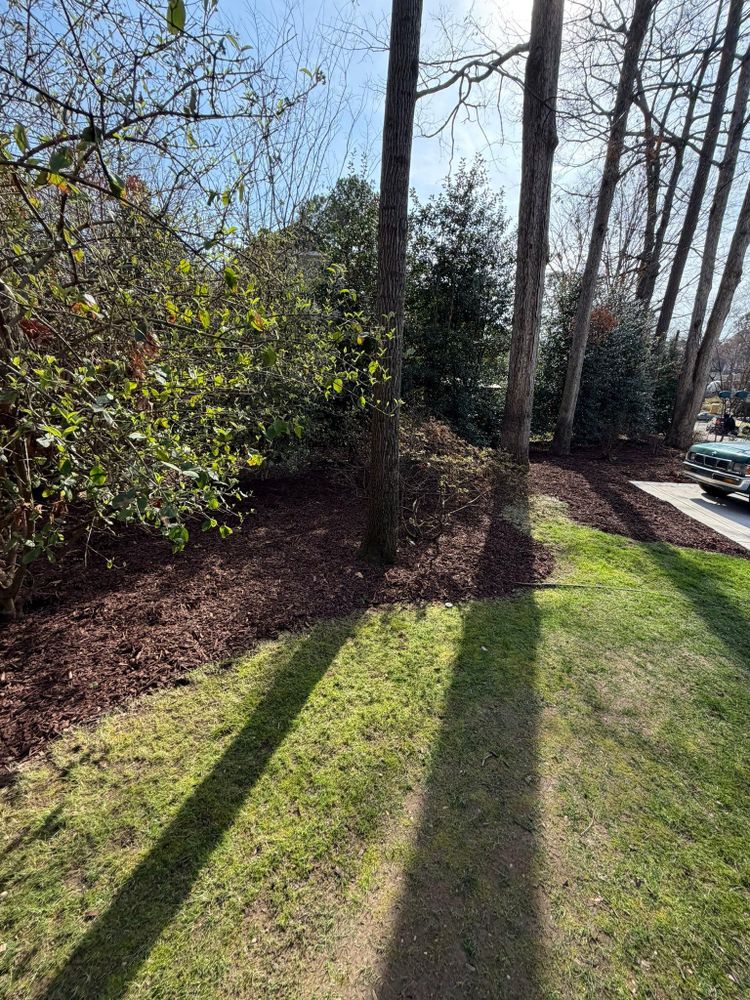 All Photos for Done2Day LLC in Wake Forest, NC