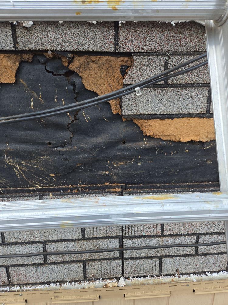 All Photos for Jalbert Contracting LLC in Alton, NH