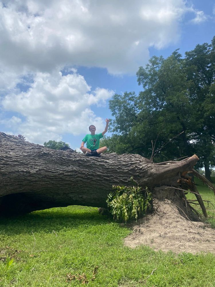 All Photos for West Stump Grinding in Temple, TX