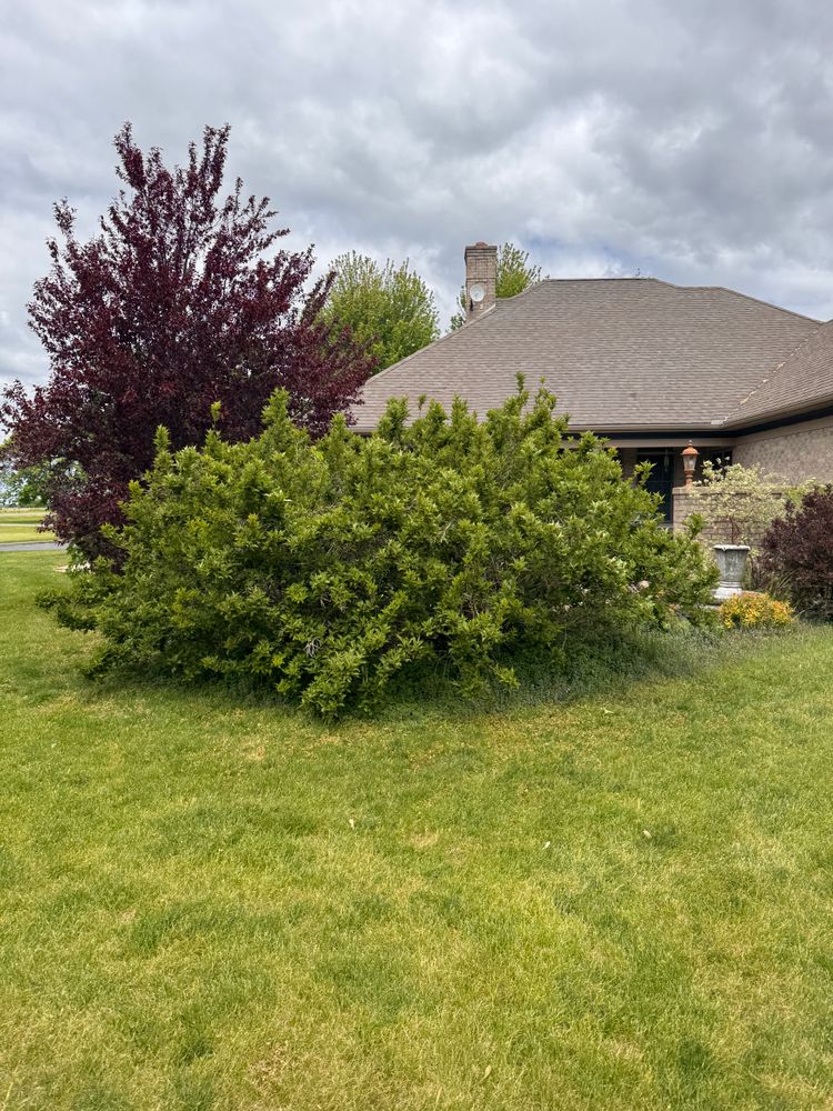 All Photos for H&L Lawn Care LLC in Twin Lakes, WI