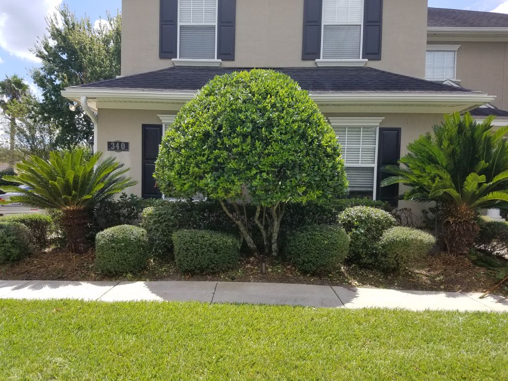 All Photos for Marty's Lawn Service in Green Cove Springs, FL