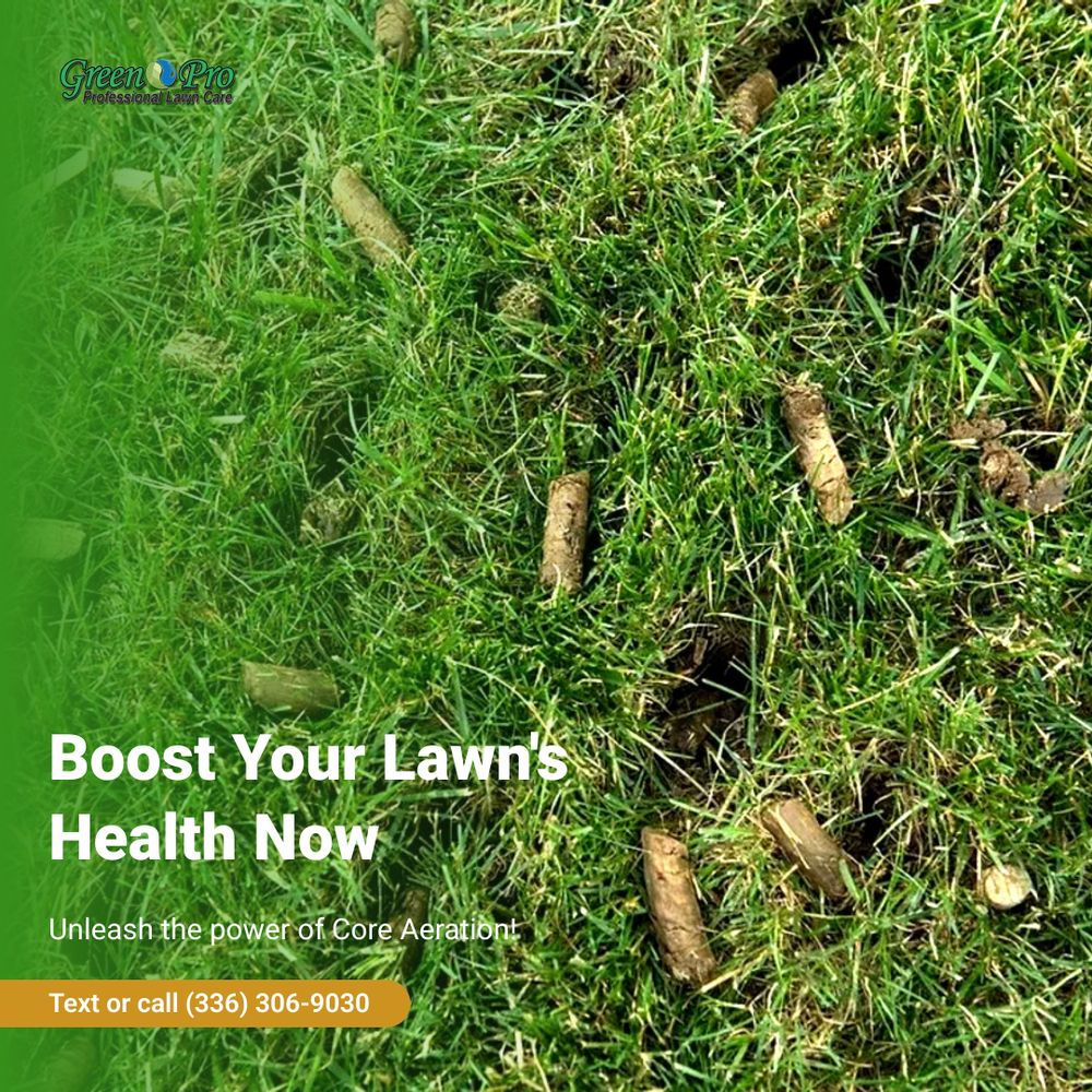 All Photos for Green Pro Lawn Care in Greensboro, NC