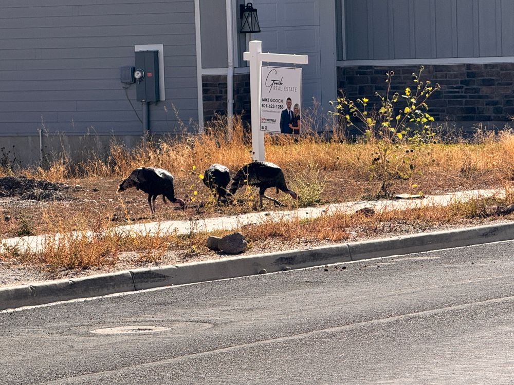 All Photos for Pioneer Services Utah in Draper, UT