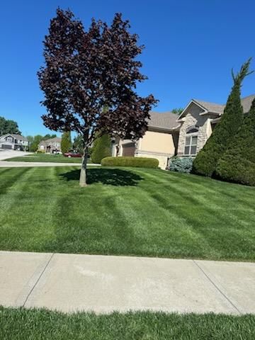 All Photos for Chief Lawn Care in Lee's Summit, MO