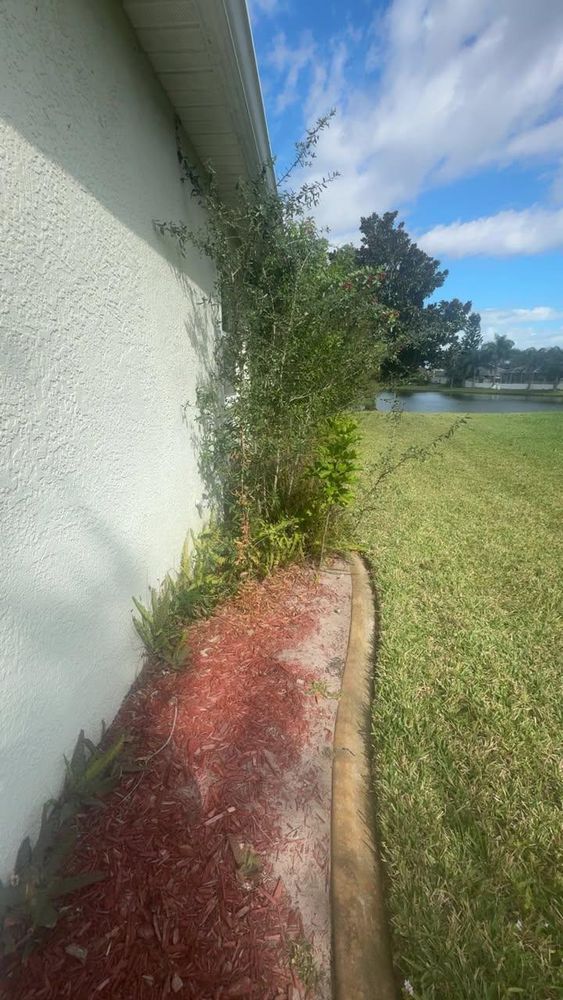 All Photos for Space Coast Property Maintenance and Management LLC in Brevard County, FL