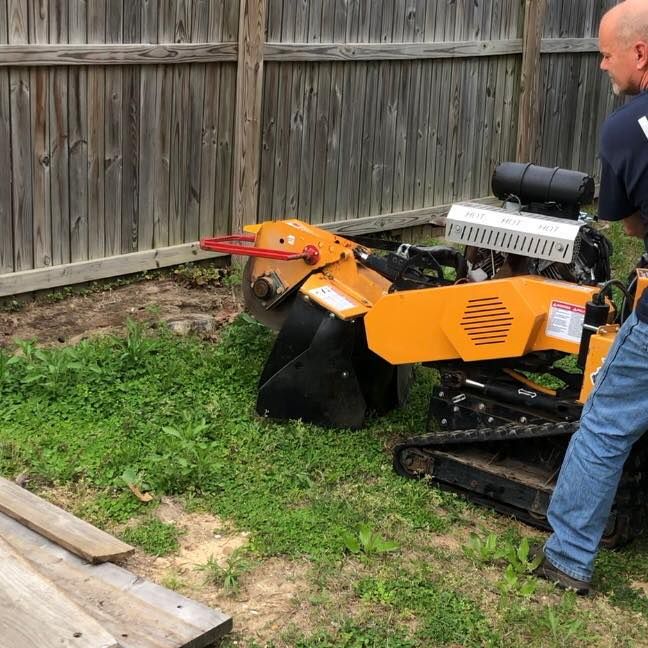 Mad Dust Stump Grinding team in Howard County, MD - people or person