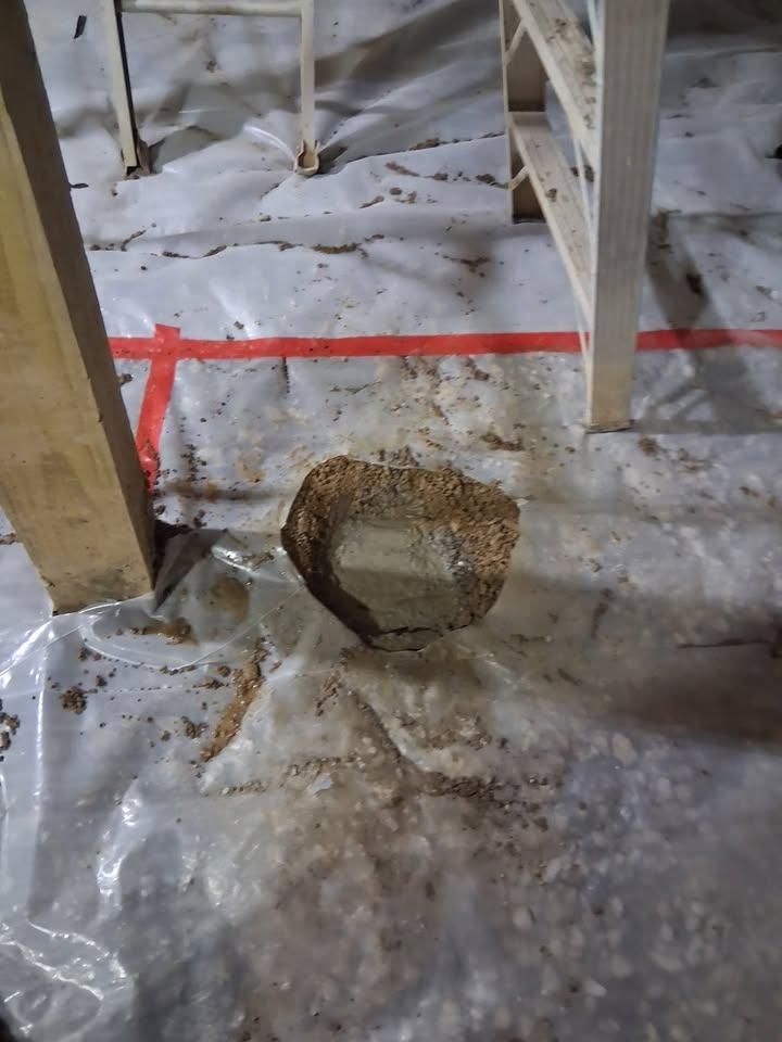 All Photos for RS Hunter LLC in Lycoming County, PA