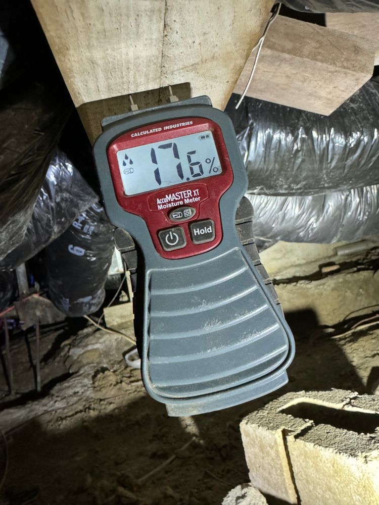 Crawlspace/Attic Renovation  for All-In Pest Control & Home Solutions in Greene County, IN