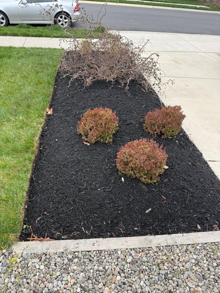 All Photos for Indian River Lawns and Landscapes in Frankford, DE