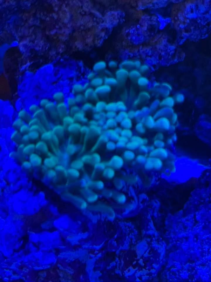 All Photos for Aquariums by Sharyn in The State of Florida, FL