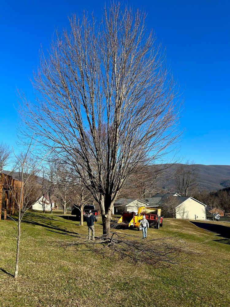 All Photos for NRV Tree Pro, LLC in Narrows, VA