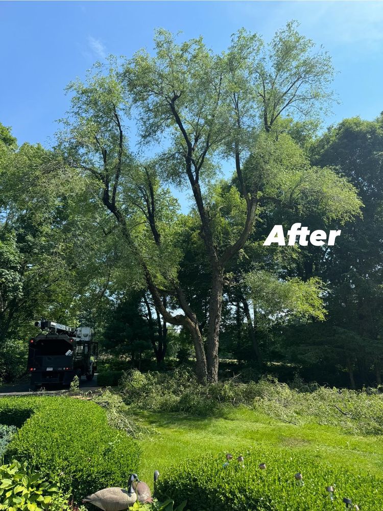 Tree Removal for Redemption Tree & Landscape LLC  in Oakham, MA
