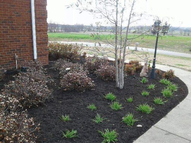 All Photos for Freedom Works Lawnscaping in Dyer County, Tennessee