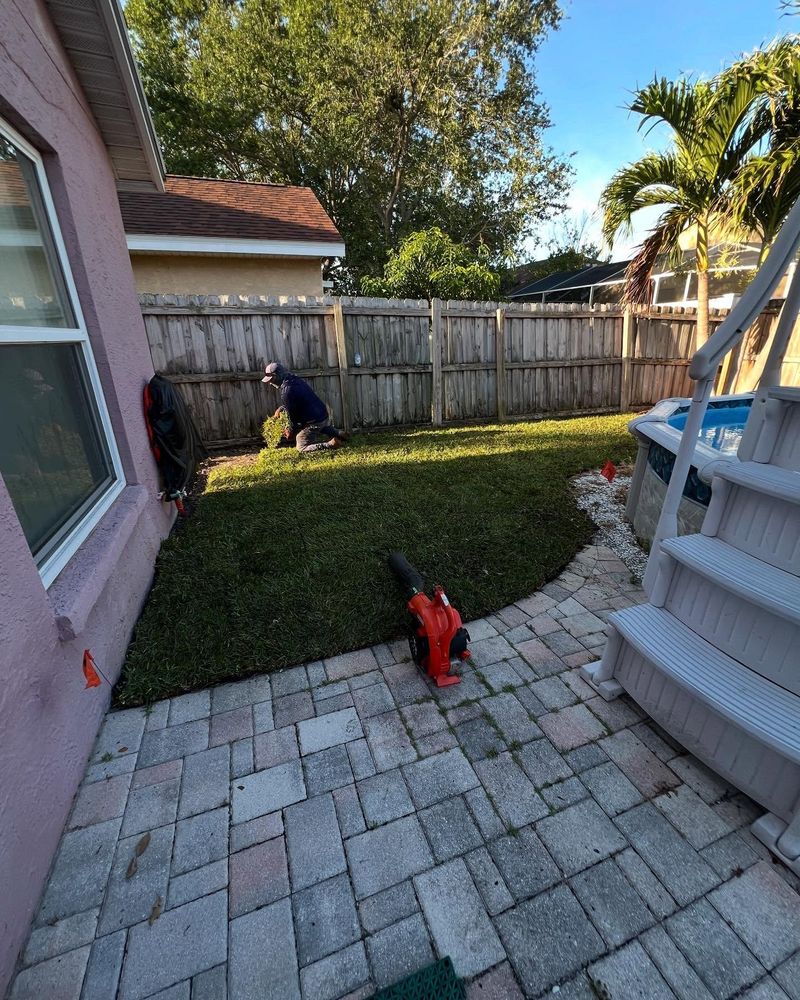 Fall Clean Up for AGT Landscape & Design LLC. in Saint Petersburg, FL