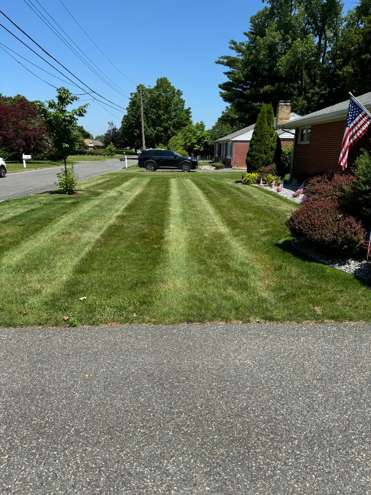 All Photos for Adams Landscaping in Springfield, MA