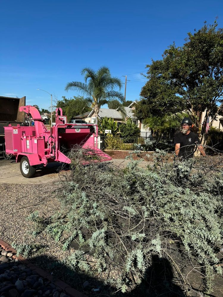 All Photos for The Tree Fairy in Temecula, CA