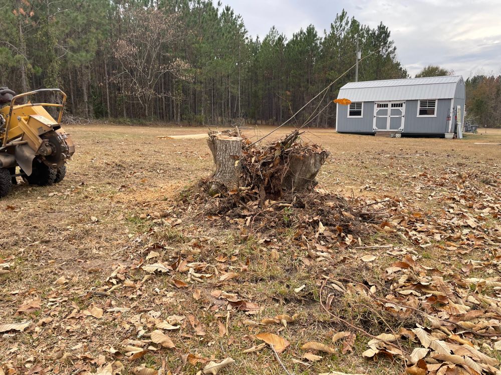 All Photos for MJB’s Stump Grinding LLC in Tennille, GA