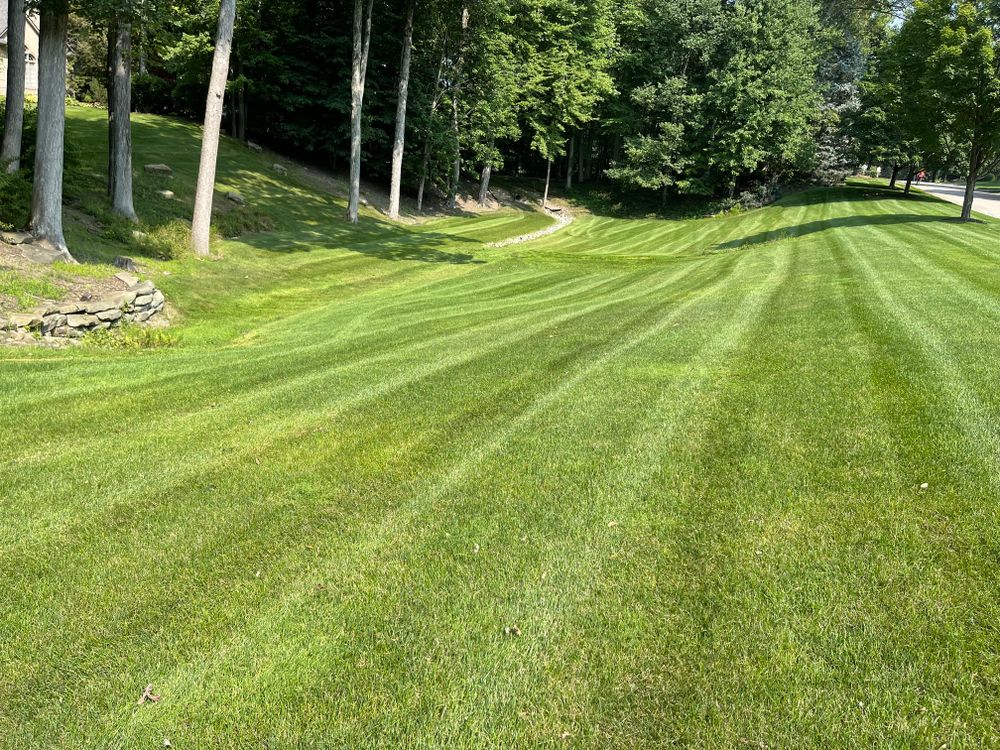 Lawn Mowing for Steed's Lawn and Landscape LLC in White Lake, MI