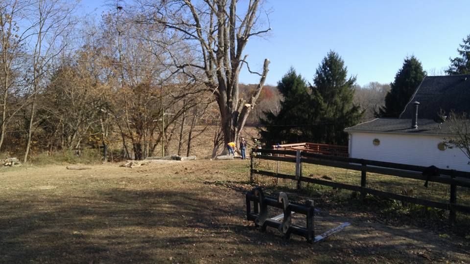 Tree Removal for Lightning Tree Service in Corydon, IN