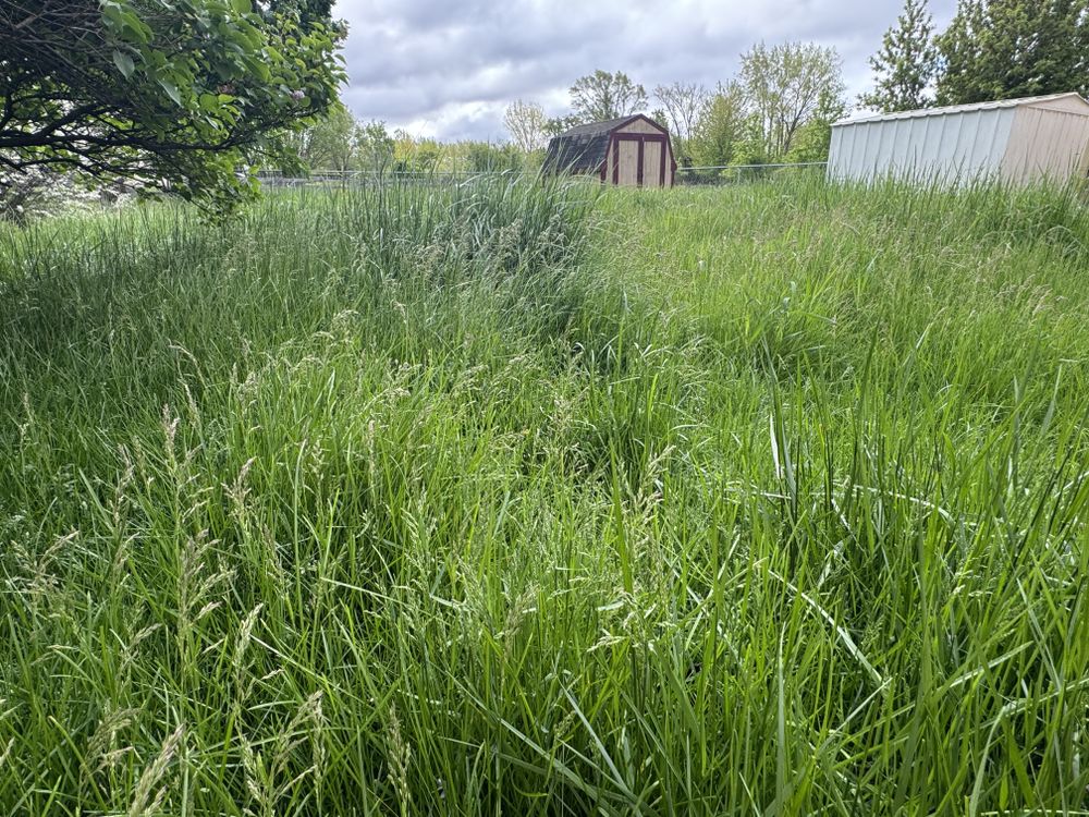 All Photos for Daugherty's Tough Lawn Care in Essexville, MI